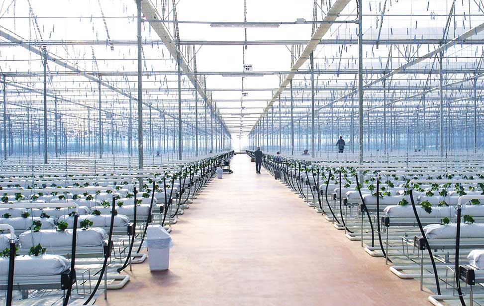 APR Greenhouses & Technology UGB